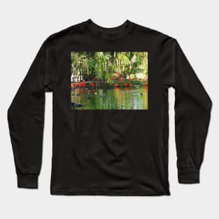 Scarlet ibis Long Sleeve T-Shirt